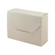 Aktenbox 220x168x112mm EMBA