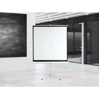 Projektionswand Aveli Stativ, 152x152 (1:1)