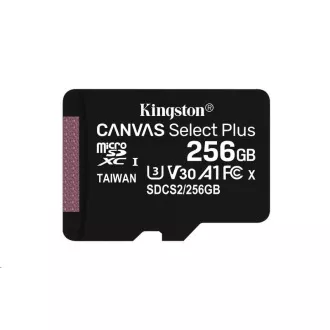 Kingston 256 GB MikrofonSDXC Canvas Select Plus 100R A1 C10 - 1 Stück Kingston 256 GB MikrofonSDXC Canvas Select Plus 100R A1 C10 - 1 Stück