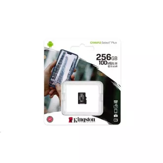 Kingston 256 GB MikrofonSDXC Canvas Select Plus 100R A1 C10 - 1 Stück Kingston 256 GB MikrofonSDXC Canvas Select Plus 100R A1 C10 - 1 Stück