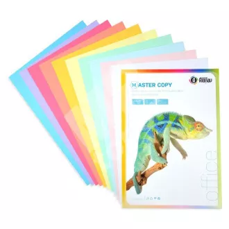 Xerografisches Papier Prima Copy A4 / 80g 500 Blatt 10 Farben - Regenbogen