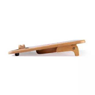 C-TECH Kühlpad unter NTB Bamboo, 15,6", 2x 140mm, 2x USB