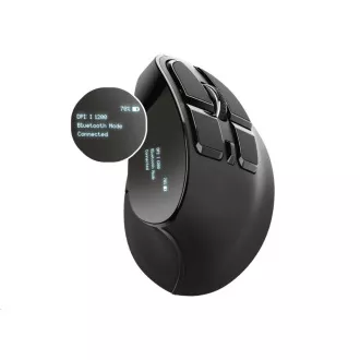 TRUST ergonomische Maus Voxx Wiederaufladbare ergonomische kabellose Maus