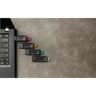 Kingston 256GB USB3.2 Gen1 DataTraveler Exodia (Schwarz + Rosa)