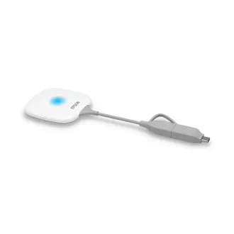 EPSON ELPWP20 - Drahtloses Präsentationssystem