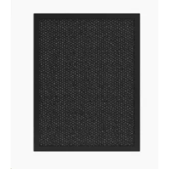 Tesla Smart Air Purifier Pro L Kohlefilter
