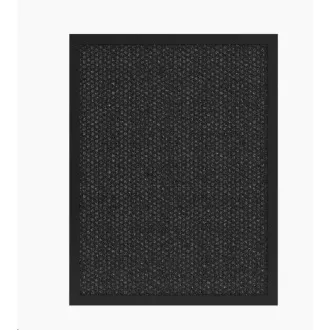 Tesla Smart Air Purifier Pro XL Kohlefilter