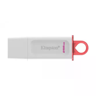 Kingston 256GB USB3.2 Gen1 DataTraveler Exodia (Weiß + Rosa)