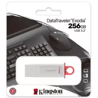 Kingston 256GB USB3.2 Gen1 DataTraveler Exodia (Weiß + Rosa)