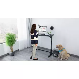 Delso WORKSTATION Elektrisch höhenverstellbarer Tisch schwarz