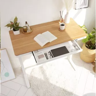 Delso WORKSTATION Elektrisch höhenverstellbarer Tisch eiche / weiß Delso WORKSTATION Elektrisch höhenverstellbarer Tisch eiche / weiß
