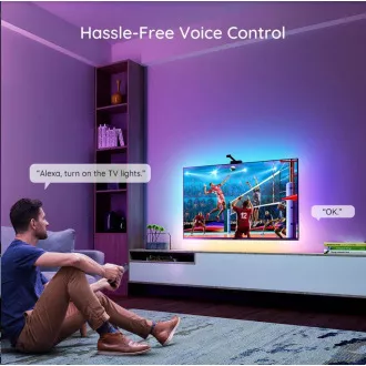 Govee DreamView TV 55-65" SMART LED-Hintergrundbeleuchtung RGBIC