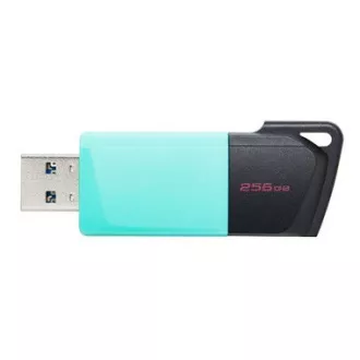 Kingston 256GB USB3.2 Gen 1 DataTraveler Exodia M (Schwarz   Teal)