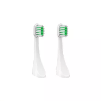 TrueLife SonicBrush Travel T100 Köpfe Standard