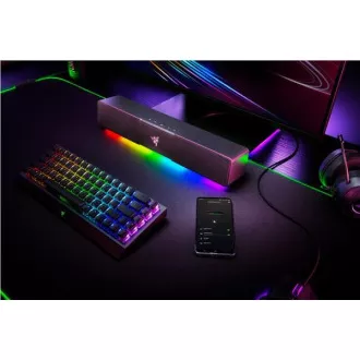 RAZER Lautsprecher Leviathan V2 X, Soundbar, RGB