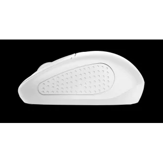 TRUST Mouse PRIMO WIRELESS MOUSE MATT WHITE, USB, kabellos