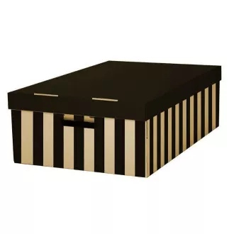 Aktenbox mit Deckel 56x37x18cm schwarz Belastbarkeit 10kg 2Stk Aktenbox mit Deckel 56x37x18cm schwarz Belastbarkeit 10kg 2Stk