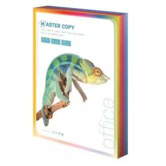 Offsetpapier Master A4 / 80g deep rainbow 5 Farben 100 Blatt Offsetpapier Master A4 / 80g deep rainbow 5 Farben 100 Blatt