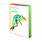 Offsetpapier Master A4 / 80g hellregenbogen 5 Farben 100 Blatt
