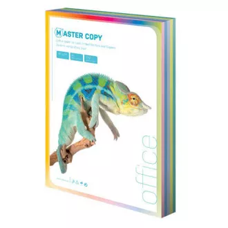Offsetpapier Master A4 / 80g hellregenbogen 5 Farben 500 Blatt