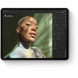 APPLE iPad 10, 2" (9. Generation) (2021) Wi-Fi 64GB - Space Grau APPLE iPad 10, 2" (9. Generation) (2021) Wi-Fi 64GB - Space Grau
