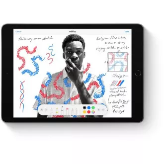 APPLE iPad 10, 2" (9. Generation) (2021) Wi-Fi   Cellular 256GB - Space Grau