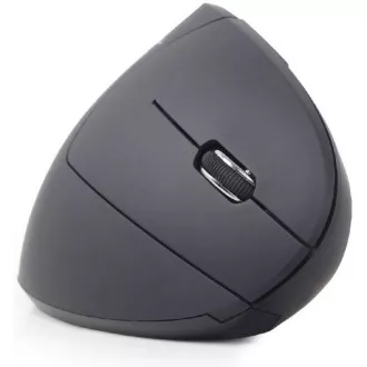 GEMBIRD Maus MUSW-ERGO-01, vertikal, kabellos, USB-Empfänger, schwarz