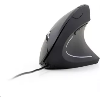 GEMBIRD Maus MUSW-ERGO-01, vertikal, kabellos, USB-Empfänger, schwarz
