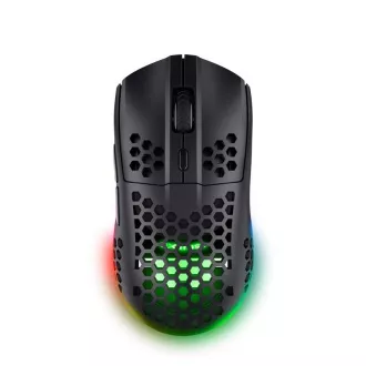 TRUST Wireless Mouse GXT 929 Helox Leichtgewicht, RGB, Schwarz