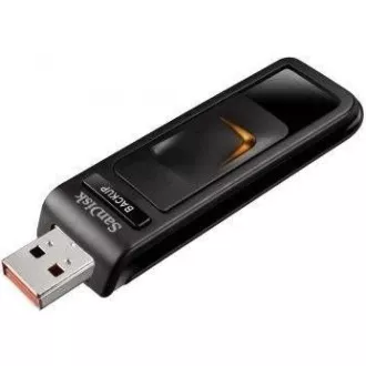 SanDisk Flash Disk 32GB Cruzer Blade, USB 2.0, schwarz