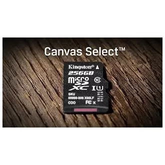 Kingston 256-GB-MikrofonSDXC Canvas Select Plus 100R A1 C10-Karte + SD-Adapter Kingston 256-GB-MikrofonSDXC Canvas Select Plus 100R A1 C10-Karte + SD-Adapter