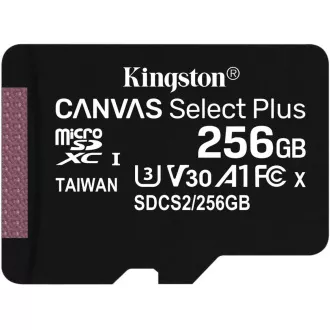 Kingston 256 GB MikrofonSDXC Canvas Select Plus 100R A1 C10 - 1 Stück Kingston 256 GB MikrofonSDXC Canvas Select Plus 100R A1 C10 - 1 Stück