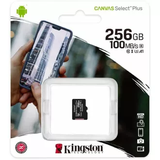 Kingston 256 GB MikrofonSDXC Canvas Select Plus 100R A1 C10 - 1 Stück Kingston 256 GB MikrofonSDXC Canvas Select Plus 100R A1 C10 - 1 Stück