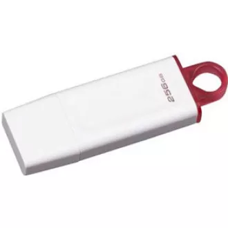 Kingston 256GB USB3.2 Gen1 DataTraveler Exodia (Weiß + Rosa)