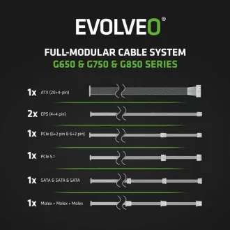 EVOLVEO G650 Netzteil 650W, 80  GOLD, ATX 3.1, aPFC, 140 mm Lüfter