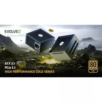 EVOLVEO G850 Netzteil 850W, 80  GOLD, ATX 3.1, aPFC, 140 mm Lüfter