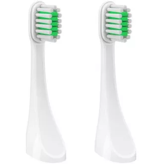 TrueLife SonicBrush Travel T100 Köpfe Standard