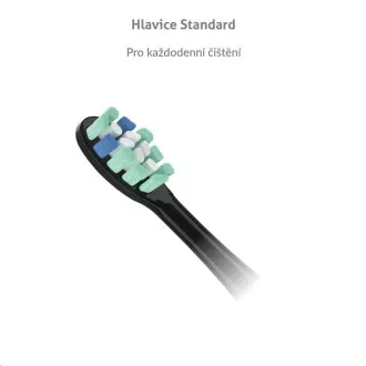 TrueLife SonicBrush Clean-series Köpfe Standard schwarz 2er Pack