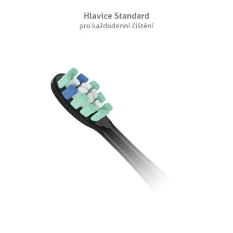 TrueLife SonicBrush Clean-Serie Bürstenköpfe, Standard, schwarz, 8er-Pack TrueLife SonicBrush Clean-Serie Bürstenköpfe, Standard, schwarz, 8er-Pack