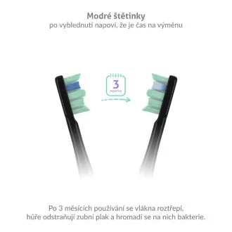 TrueLife SonicBrush Clean-Serie Bürstenköpfe, Standard, schwarz, 8er-Pack TrueLife SonicBrush Clean-Serie Bürstenköpfe, Standard, schwarz, 8er-Pack