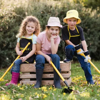 Stanley Jr. G001-SY Gartenhacke Stanley Jr. G001-SY Gartenhacke