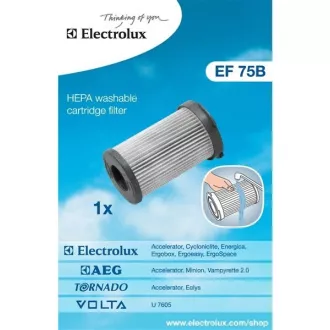 EF75B ZYKLONFILTER(900195949) ELECTROLUX