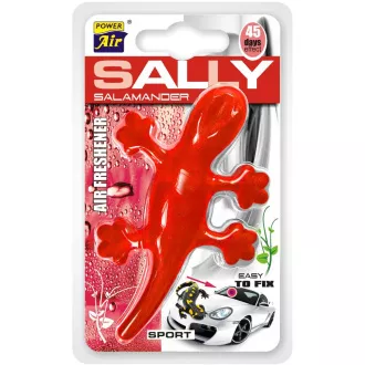 SALLY SPORT POWER LUFTERFRISCHER