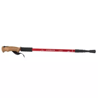 Nordic Walking-Trekkingstöcke mit ergonomischem Korkgriff, 135 cm, 2 Stück, Schwarz