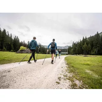 Nordic Walking-Trekkingstöcke mit ergonomischem Korkgriff, 135 cm, 2 Stück, Blau