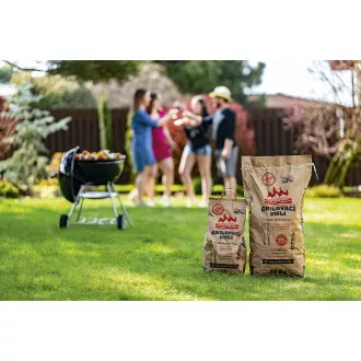 Grill-Holzkohle Carbón Vegetal de Marabú 10kg