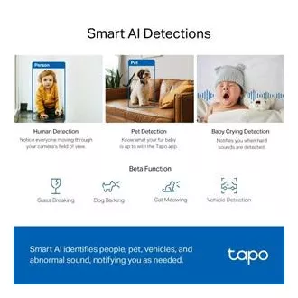 TP-LINK Tapo C220 - IP-Kamera mit Neigung und WiFi, 4MP (2560*1440), ONVIF TP-LINK Tapo C220 - IP-Kamera mit Neigung und WiFi, 4MP (2560*1440), ONVIF