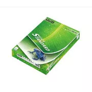 Europapier STANDARD PAPIER A5, 80g/m2, 1x500 Blatt ( Papierformat A5 !!!! )