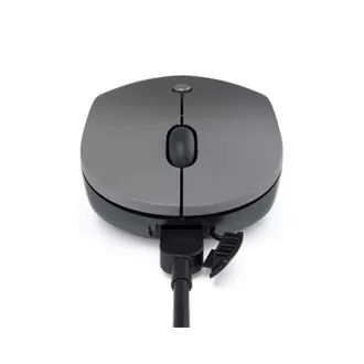 Lenovo CONS Kabellose Maus GO USB-C (grau)