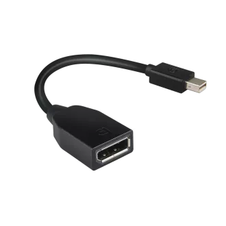 Lenovo Mini-DisplayPort auf DisplayPort Adapter